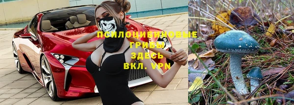 apvp Алексин